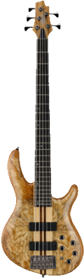 Cort A5 Custom SP Bas Guitar