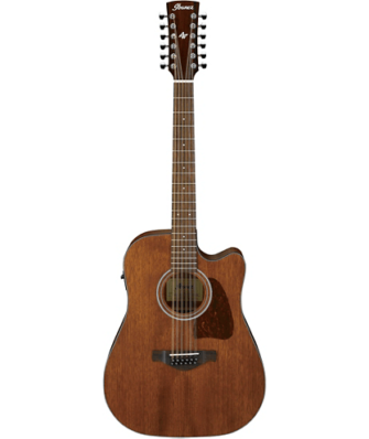 Ibanez AW5412CE-OPN 12 STRING Acoustic Guitar