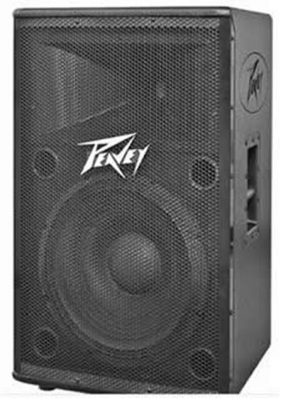PEAVEY DPE115 EACH