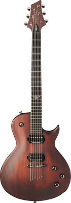 Washburn USM-PXL10WA